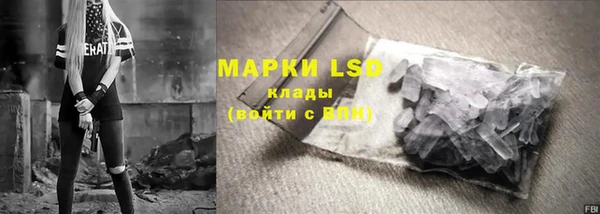шишки Беломорск
