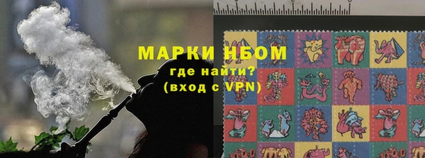 шишки Беломорск
