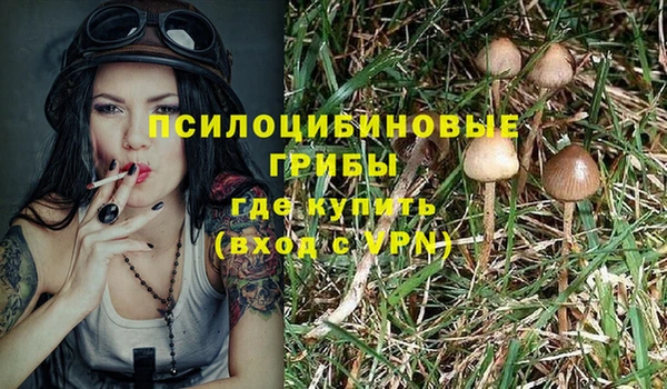герыч Богородицк