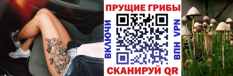 купить   дарк нет формула  Галлюциногенные грибы Psilocybe  Яранск 