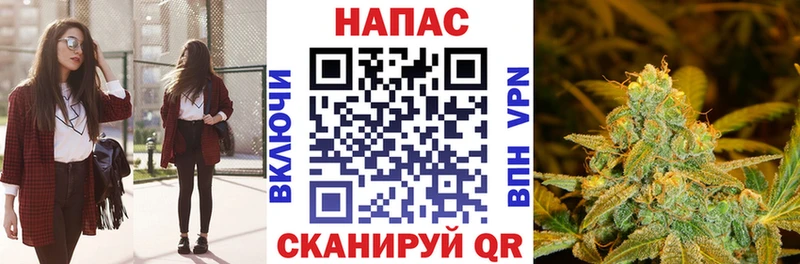 мега ссылки как найти наркотики Яранск МАРИХУАНА Ganja